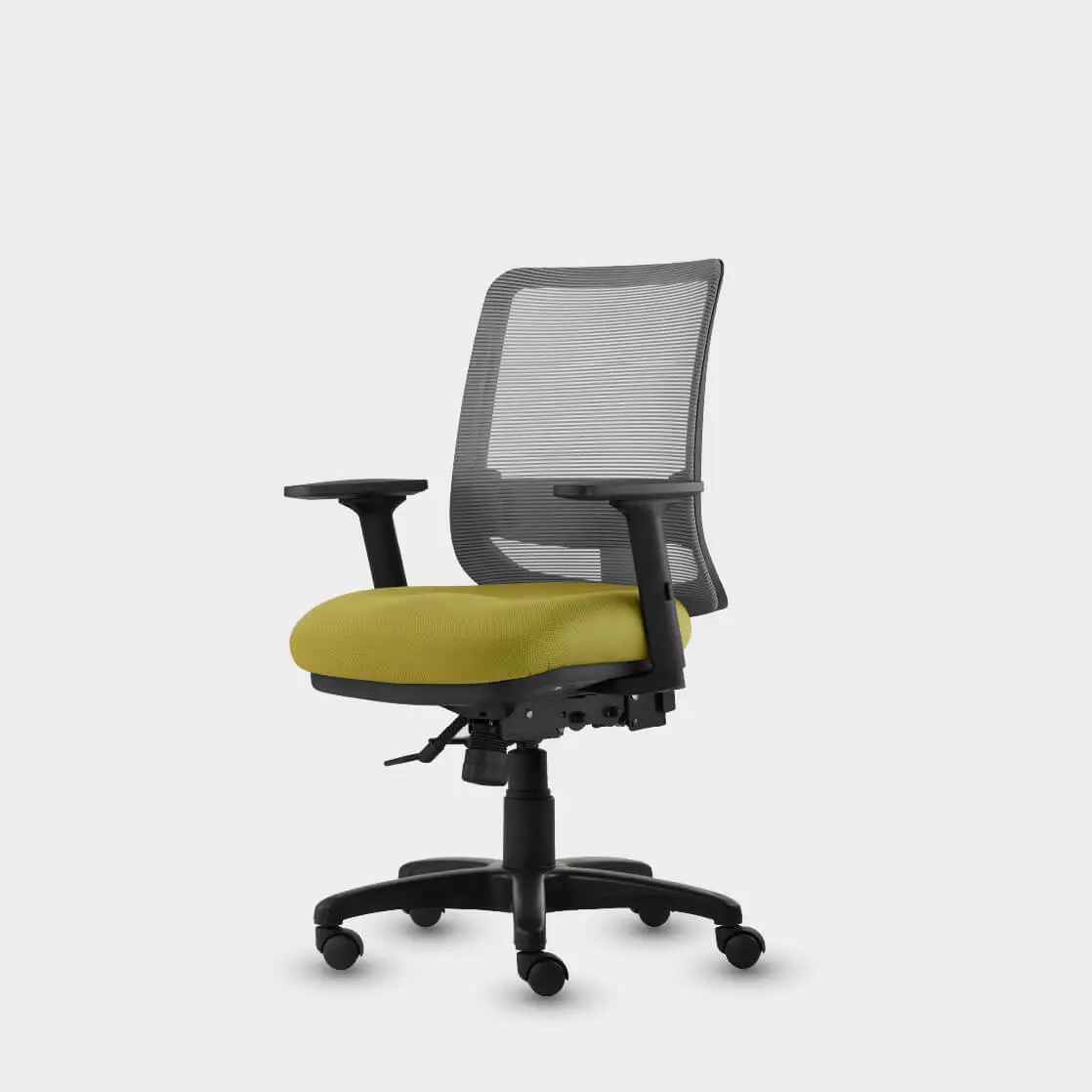 Saga Collection | MERRYFAIR