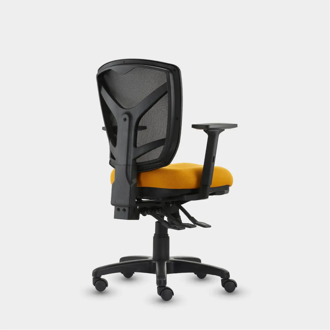 Saga Collection | MERRYFAIR