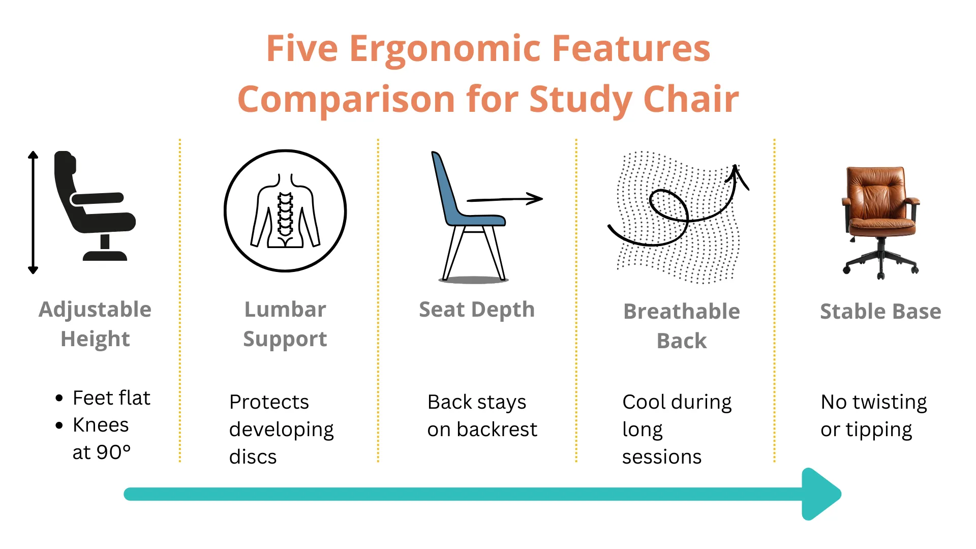 Infographic comparing five key ergonomic features for student study chairs: adjustable height, lumbar support, seat depth, breathable back, and stable base, with icons and benefits for each.