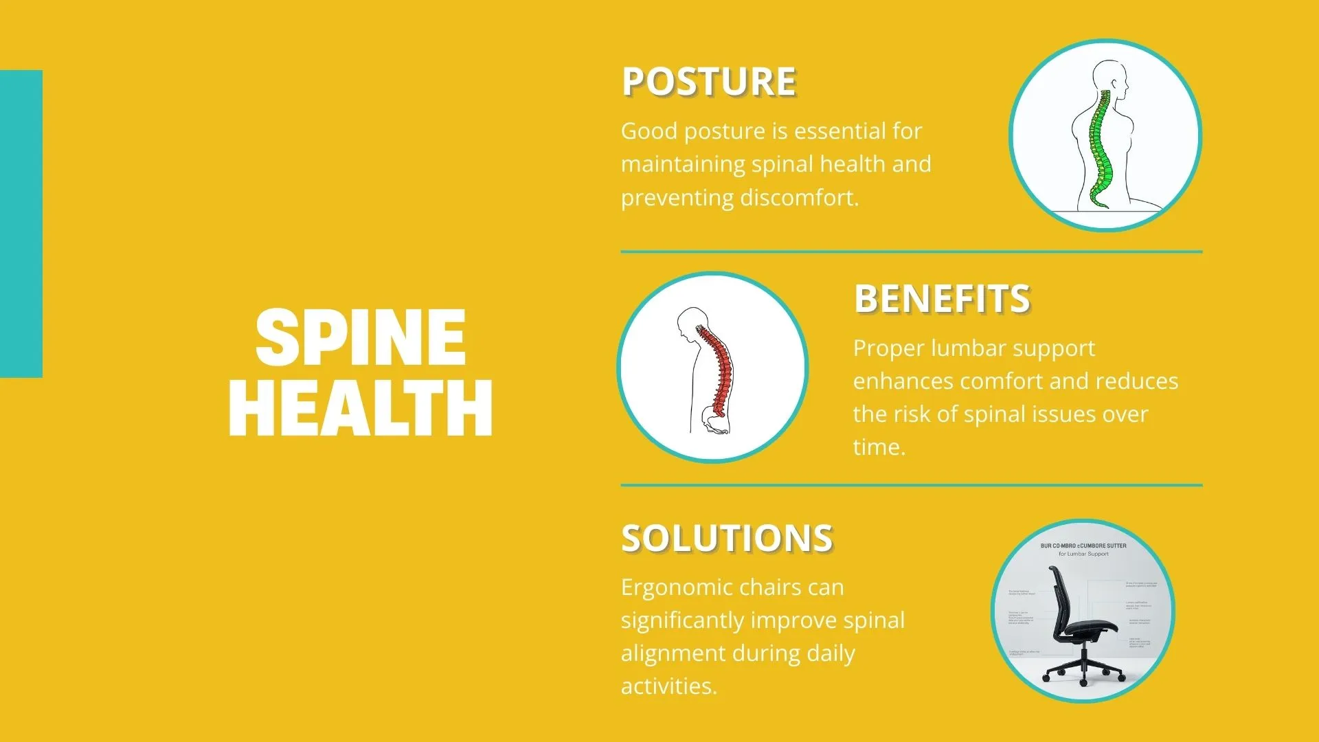 Infographic-Spine-Health-1772594986