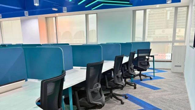 MERRYFAIR - TELEPERFORMANCE GOOGLE